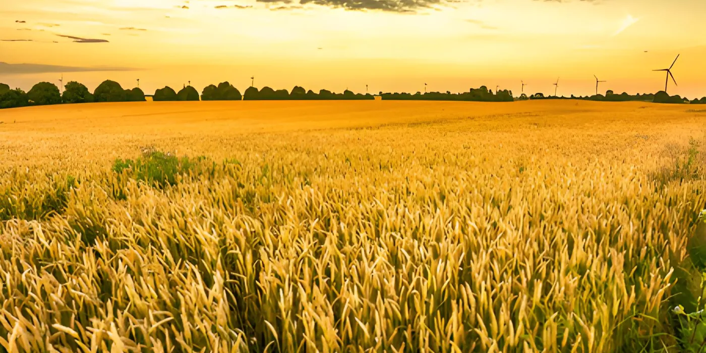 Сельское хозяйство